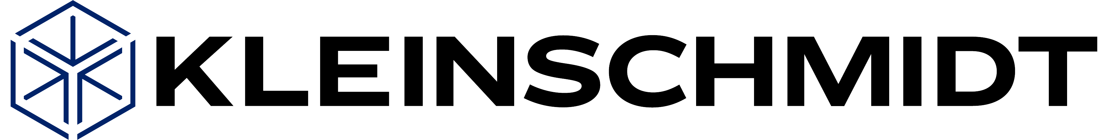 Kleinschmidt logo